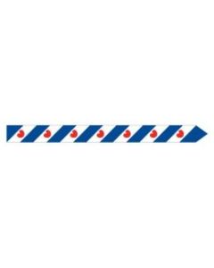 Friese wimpel 400